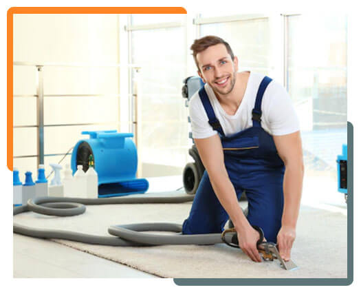 Carpet Cleaning Brisbane Professional Carpet Cleaning in Brisbane