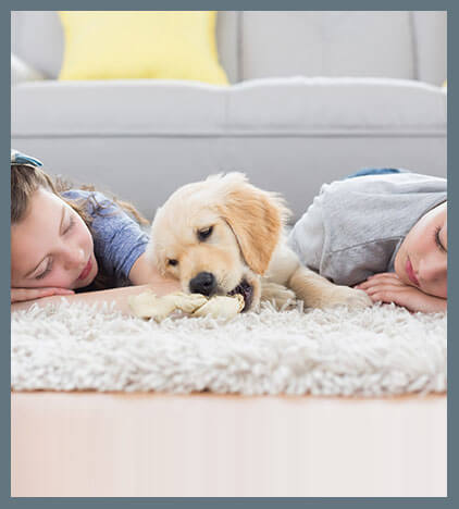 Carpet Cleaning Adelaide Carpet Cleaning Adelaide