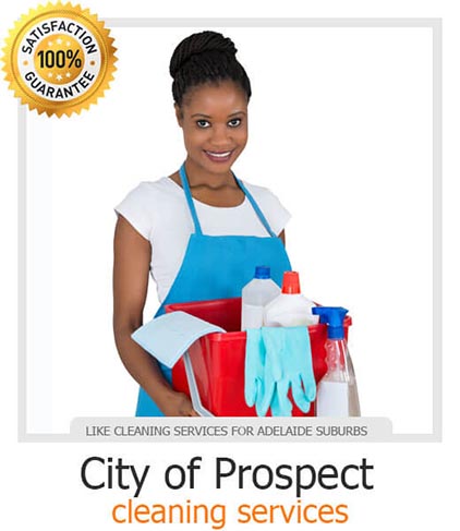 Domestic Cleaning Adelaide