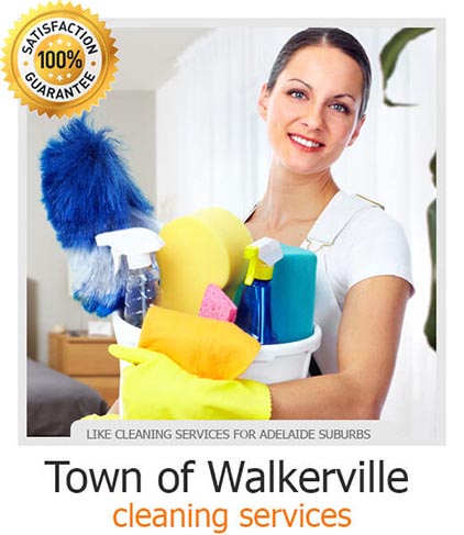Exit Cleaning Town of Walkerville